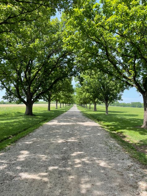 Orchard Driveway, Long Country Driveway, Long Gravel Driveway, Farm Driveway, Ranch Landscaping, Farm Property, Barn Remodel, Farm Entrance, Ranch Living