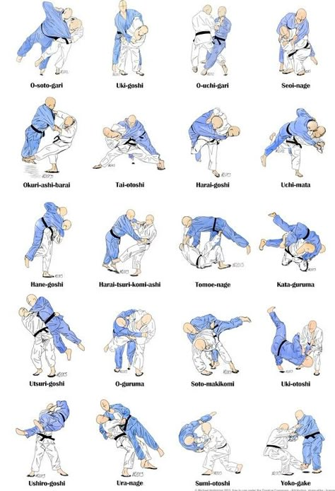 Judo Techniques Names, Judo Moves, Judo Techniques, Judo Training, Karate Moves, Guerriero Samurai, Judo Karate, Mixed Martial Arts Training, Mini Lady Dior