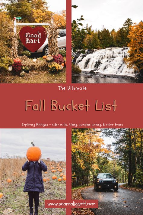 Ultimate Fall Bucket List For Michigan — Searra Liggett Holland Michigan Fall, Fall Michigan, Fall In Michigan, Michigan Fall, Apple Orchards, Fall Bucket List, Pumpkin Picking, Scenic Views, Corn