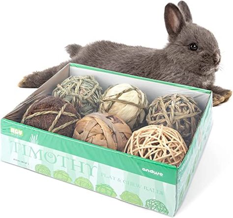 Toys For Rabbits, Treats For Rabbits, Chinchilla Toys, Chinchilla Pet, Pet Ball, Play Activity, Pet Guinea Pigs, Rabbit Food, Small Animal Supplies