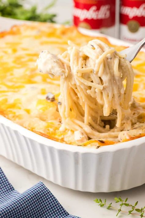 Easy Chicken Tetrazzini Recipe (With Cream of Mushroom Soup) | She's Not Cookin' Havarti Cheese Chicken Recipes, Cheesy Chicken Tetrazzini, Easy Chicken Tetrazzini Recipe, Chicken Tetrazzini Casserole, Chicken Scampi Recipe, Creamy Cheesy Pasta, Easy Chicken Casserole, Recipes Using Cream Cheese, Easy Chicken Tetrazzini