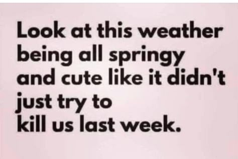 The week of Christmas, 2022, zero. The week after-68 degrees! Winter Jokes, Winter Humor, Snow Humor, Weather Memes, Irreverent Humor, Weather Quotes, Funny Thoughts, Holiday Humor, Best Pics