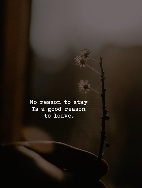 Better To Leave Quotes, No Reason To Stay Is A Good Reason To Go, Stay Or Leave Quotes, Stay Quotes, Missing You Love Quotes, Good Heart Quotes, Leaving Quotes, Best Thoughts, Inspirational Words Of Wisdom