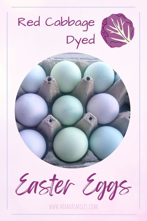 mbrace natural dyes this Easter by using red cabbage to dye eggs! (Red cabbage is the same thing as purple cabbage) How To Dye Eggs, Math Stem Activities, Simple Easter Eggs, Dye Eggs, Making Crayons, Egg Dye, Easter Printables Free, Easter Egg Dye, Purple Cabbage