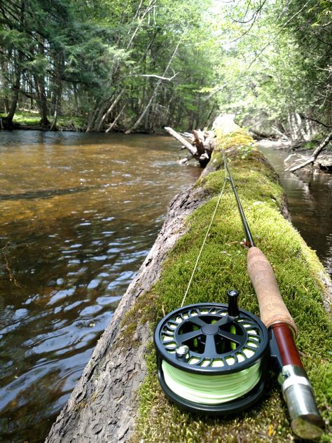 Trout fishing. Fly Fishing Wallpaper, Fishing Trout, Trout Aesthetic, Fly Fishing Aesthetic, Fly Fishing Art, Trout Fishing Tips, Fishing Photos, Fishing Photography, Fly Fishing Gear