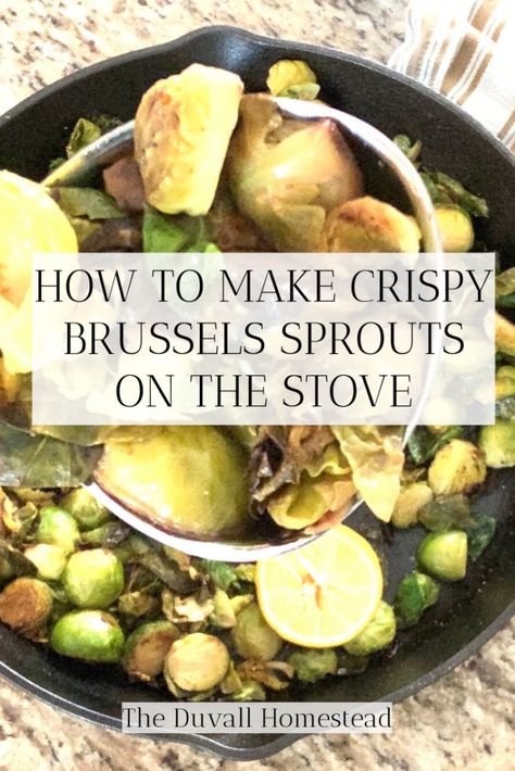 The key to making crispy stove-top brussels sprouts is to add the water at the very end with the stove is hot so you can caramelize the flavors into the leaves. This recipe only uses lemon and garlic, but you could add whatever other herbs or seasonings you like. Don't forget about the water at the end!  #brusselssprouts #healthysidedish #sidedishideas #stovetopveggies #healthydinnerieas #plantbased #vegetarian #vegetables #veggies #thanskgivingsidedishideas #recipes #foodie Stove Top Veggies, Easy Brussel Sprout Recipes Stove Top, Stove Top Brussel Sprout Recipes, Brussel Sprouts Stove Top, Stove Top Brussel Sprouts, Stovetop Veggies, Garlic Brussel Sprouts, Brussel Sprouts Recipes Easy, Crispy Brussels Sprouts