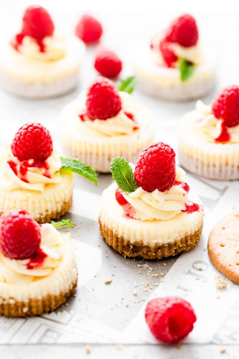 Try these super easy, small batch mini cheesecakes from Anna Banana Co! These wonderfully creamy, bite-size treats are ideal when you fancy a dessert but don't want to bake a whole cake! Simple ingredients and minimal baking time! #dessert #minicheesecake #cheesecake Mini Cheesecakes Easy, Individual Cheesecakes, Anna Banana, Digestive Biscuits, Cheesecake Bites, Raspberry Cheesecake, Meringue Pie, Mini Cheesecakes, Creamy Cheesecake