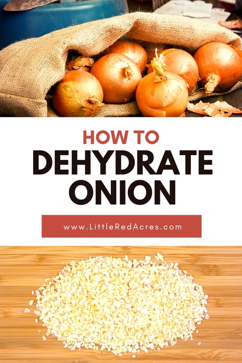 Dehydrate Onions, Dehydrated Onions, Dehydrated Fruit, Dehydrated Food, Yellow Onion, Onions, Super Easy, Frozen, Fruit