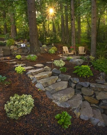 Enchanted Gardens - Gallery Landscaping Center Of Circle Drive, Cabin In The Woods Landscaping Ideas, Backyard Rocks, Grass Alternatives, Wooded Backyard Landscape, Forest Landscaping, Wooded Backyard, Landscape Luxury, Terraced Backyard