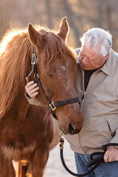 Chestnut Horses, Horse Ownership, Horse Rescue, Types Of Horses, Appaloosa Horses, Chestnut Horse, Horse Owner, Appaloosa, Working Hard