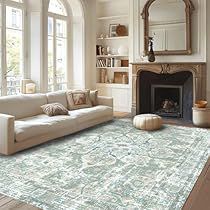 Country Cottage Living Room, Blue And Green Living Room, Rugs Boho, Farmhouse Area Rugs, Cottage Living Rooms, Carpet For Living Room, Room Color Schemes, Boho Area Rug, Living Room Green