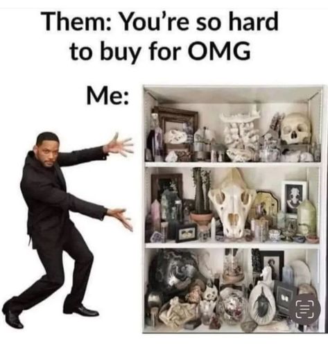 Goth Humor, Animal Skeletons, Vulture Culture, Animal Bones, Describe Me, Just Girly Things, Taxidermy, Literally Me, Funny Images