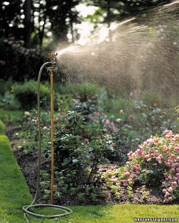 Hose Stand, Smart Gardening, Garden Guide, Garden Care, Veggie Garden, Back To Nature, Lawn And Garden, Dream Garden, Garden And Yard