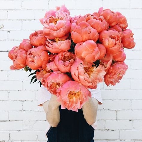 Peach Peonies, No Rain, Cactus Y Suculentas, Back To Nature, Beautiful Blooms, Pink Peonies, Flower Child, Wedding Flower, Hi There