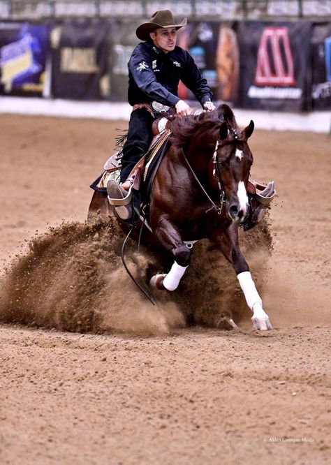 Western Reining Horse, Reining Horses Photography, Reigning Horses, Western Horsemanship, Western Horse Riding, Working Cow Horse, Horse Reining, Western Horses, Horse Breeder