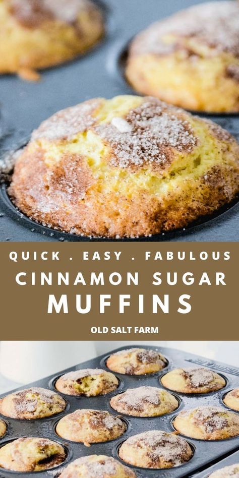 Quick Muffins, Easy Muffin Recipe, Cinnamon Sugar Muffins, Sour Cream Muffins, Oven Recipe, Simple Muffin Recipe, Muffin Recipe, Breakfast Muffins, Chocolate Chip Muffins