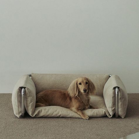 @milliong_official Dog cushion bed was featured in @the.thing.magazine ❤️ | Instagram Bed Area Ideas, Dog Bed Attached To Bed, Dog Bed Bedroom, Dog Bed Minecraft, Dog Bedrooms In House, Dog Bed Ideas, Dog Bedroom, Cute Dog Beds, Animal Photoshoot