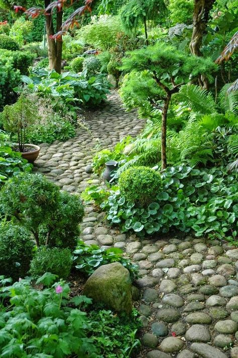 #stone path #pebbles #DIY #garden #Garten #design #Gartenweg #Weg #garden path Walkways Paths, Garden Walkway, Stone Path, Have Inspiration, The Secret Garden, Garden Path, Woodland Garden, Garden Pathway, Gorgeous Gardens