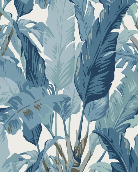 Natty & Polly Wallpaper on Instagram: “Banana Palm Heaven 🌴🌴🌴 Absolutely cannot wait to get our hands on this new collection 😍 . . #bananapalm #hollywoodvibes #oldhollywood…” Travelers Palm, Construction Wallpaper, Travellers Palm, Thibaut Wallpaper, Palm Wallpaper, Tropical Wallpaper, Tropical Design, Kelly Wearstler, Wallpaper Calculator