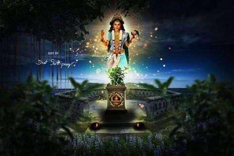 Tulsi Mata, Tulsi Devi, Vrinda Devi, तुलसी विवाह, Cutest Picture Ever, Ombre Wallpaper Iphone, Ombre Wallpaper, Pooja Sharma, Ombre Wallpapers