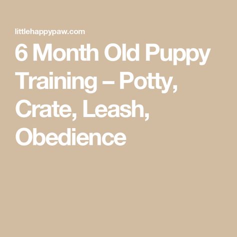 6 Month Old Puppy Training – Potty, Crate, Leash, Obedience 6 Month Old Puppy, Crate Training Puppy Schedule, Potty Training Schedule, Puppy Training Schedule, Crate Training Puppy, Potty Training Tips, Potty Training Puppy, Leash Training, Puppy Training Tips