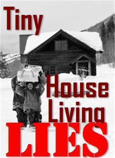 Tiny House Living Lies: Why Don't TV Shows Tell Us the Cons and that it is Mostly Illegal to Live in a Tiny House? Shed Designs, Mobile House, Build Your Own Shed, Small Tiny House, Tiny House Nation, Boho Moon, Shed Plan, Storage Sheds, Micro House