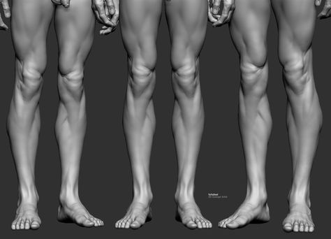 ArtStation - Leg Study, ToTo Dost 남성 근육, Leg Anatomy, Human Muscle Anatomy, Human Anatomy For Artists, 3d Anatomy, Man Anatomy, Anatomy Sculpture, Anatomy Tutorial, Human Anatomy Drawing