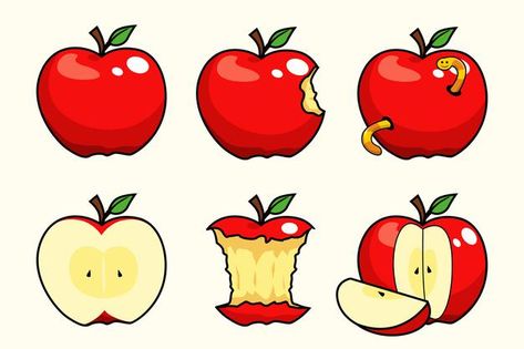 Apple Fruit Art, Apple Eaten Drawing, Apple Illustration Art, Apple Design Fruit, Cute Apple Drawing, Cartoon Apple Drawing, Apple Reference, Apple Illustration Design, Apple Slice Illustration