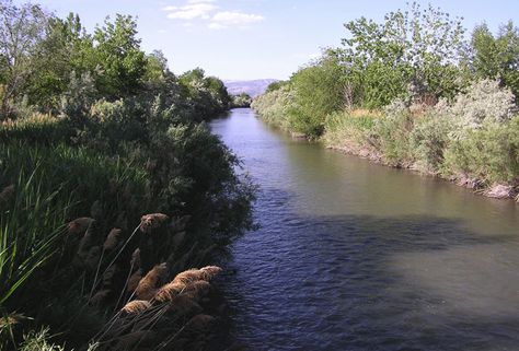 Murray, Utah Section of the Jordan River Parkway, There are three good access points to the Murray section of the Jordan River Parkway (which runs just west of I-15 about a half mile to a mile).  One is at 4800 South, another is at 5400 South and a third is at 6400 South or Winchester Blvd. River Jordan, The Jordan River, Jordan River, Future Dreams, Christmas Village, Syria, Lebanon, Winchester, Middle East