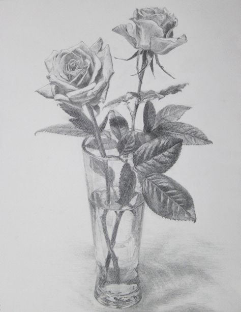 Vase Of Roses Drawing, Landscape Pencil Drawings, Pencil Drawings Of Flowers, Rose Sketch, Beautiful Flower Drawings, Flowers Drawing, Drawing Flowers, Rose Drawing, Basic Drawing