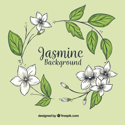 Wreath Background, Jasmine Drawing, Branding Mood Board Inspiration, Tea Cup Card, Wreath Tattoo, Flower Line Drawings, Hand Drawn Floral, Drawn Floral, Jasmine Flower