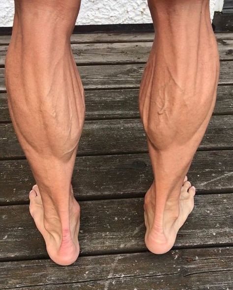 GYMGXD 🏆 on Instagram: "Don’t neglect calves guys @joesthetics 💪" Aesthetics Bodybuilding, Muscular Legs, To Gain Weight, Calf Muscles, Bestie Goals, Tips For Women, Gain Weight, Beachbody On Demand, Lower Leg