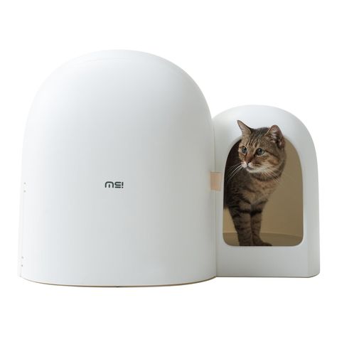 MS!MAKE SURE Cat Litter Box MAX, Enclosed Litter Box with Scoop, Stylish & Functional for Indoor Cats - Snow White Enclosed Litter Box, Hidden Litter Boxes, Kitten Mittens, Pet Care Tips, Cat Items, Cat Family, Cat Litter Box, Cat Accessories, Indoor Cat