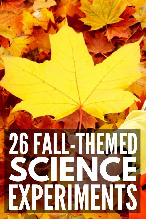 Fall Experiments For Kindergarten, Fall Preschool Experiments, September Science Experiments, Fall Science Experiments For Kindergarten, Fall Science For Kindergarten, Fall Stem Activities For Kids Preschool, September Science Preschool, October After School Activities, Fall Prek Science Experiments