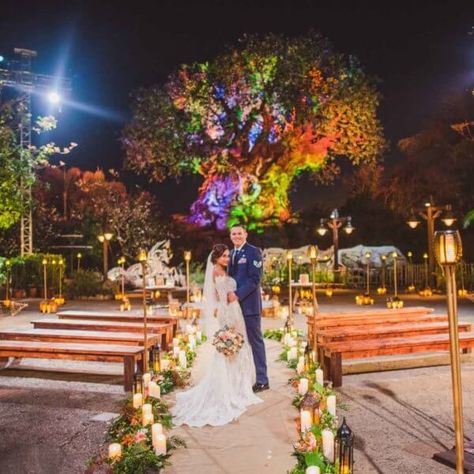 Disney Wedding Venue, Disney World Wedding, Disney Wedding Theme, Disney Fairy Tale Weddings, Disney World Florida, The Tree Of Life, Magical Wedding, Ceremony Venue, Fairy Tale Wedding