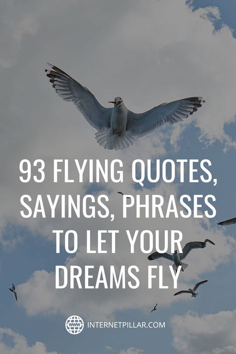 93 Flying Quotes, Sayings, Phrases to Let Your Dreams Fly - #quotes #bestquotes #dailyquotes #sayings #captions #famousquotes #deepquotes #powerfulquotes #lifequotes #inspiration #motivation #internetpillar Wings Sayings Quotes, Quotes About Flying Wings, Learning To Fly Quotes, Fly High Quotes Inspiration, Flight Quotes Inspiration, Soaring High Quotes, Wings Quotes Fly, Quotes On Flying High, Fly Quotes Inspiration Life