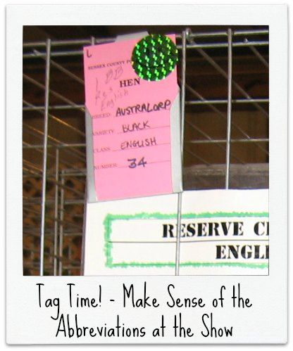 Tag Time!  Make Sense of the Abbreviations at the Show Showing Chickens At Fair Poultry, Fair Week 4-h Quotes, Chicken Hatching Calendar, Bump Of Chicken, Chicken Owners First Time, 4 H Clover, Micro Farm, Animal Projects, Raising Chickens