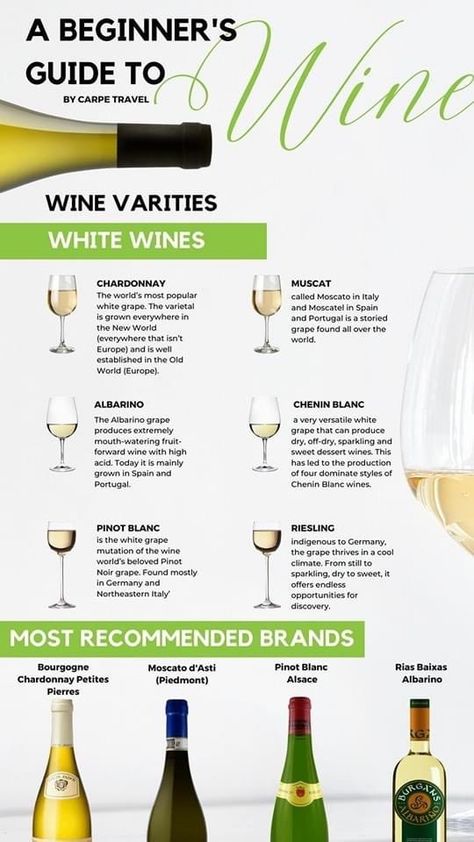 Wine Etiquette, Types Of White Wine, Wine Basics, Bartender Drinks Recipes, Wine Chart, White Wine Grapes, Wine Variety, Wine 101, Wine Flavors