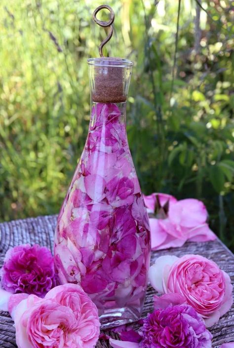 Benefits Of Rose Water, Witch Store, Peacock Images, Beautiful Scenery Photography, La Rose, Trending Haircuts, Hair Care Routine, Rose Water, Radiant Skin