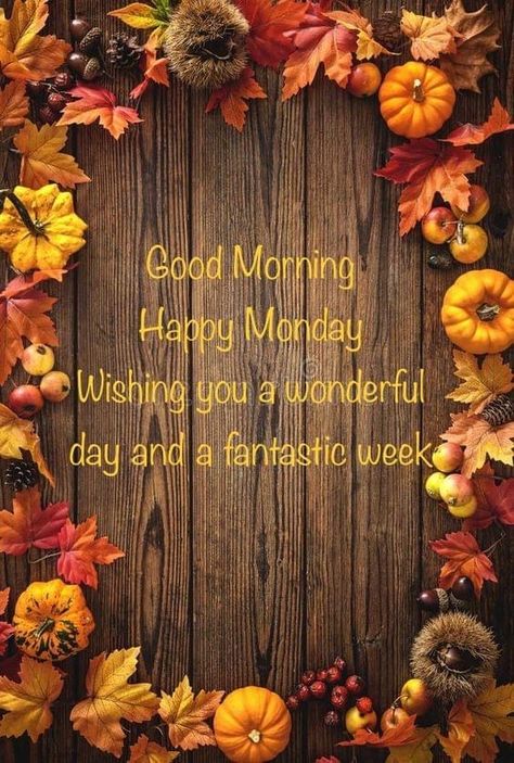 Sunday Fall Quotes, Happy Monday Fall, Facebook Cover Photos Flowers, Monday Wishes, Inspirational Good Morning Messages, Blessed Week, Good Morning Happy Monday, Morning Memes, Monday Blessings