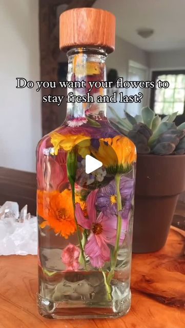 Homestead Life | Farming on Instagram: "Summer in a bottle! 🌸 I love flowers and wanted to find a way to preserve them throughout the winter. And this is how I do it 🙌🏼 they last a year in a glass bottle with a lid and some baby oil. (Do not mix with anything else, just fill your jars with straight baby oil to the top) 🌸

(📷Creator: @motherhenshomestead)
.
.
.
The copyright of this post doesn’t belong to @homesteadlife.real, nor do we intend to monetize this content. DM us for Removal.

#homestead #homesteadlife #ModernHomesteading #UrbanHomesteading #FarmLife #SimpleLiving #HomesteadLife #offgridliving #CountryLiving #HobbyFarm #RuralLife #Farmstead #farmlife #homesteadhacks #homeschooling #homeschool #SelfSufficiency #homesteader #Homesteading #sheep #animals #lifeinthecountry #coun Summer In A Bottle, Modern Homesteading, Homestead Life, I Love Flowers, Urban Homesteading, Plants Decor, Find A Way, Hobby Farms, Rural Life