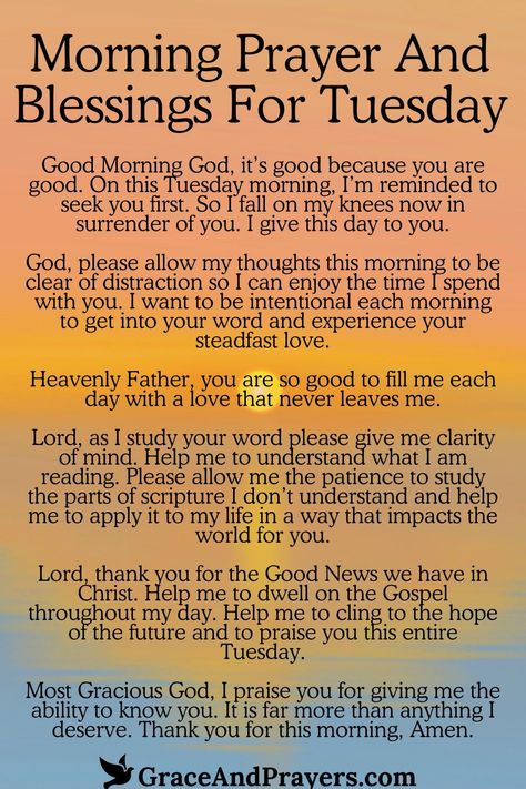 Welcoming a new Tuesday with a prayer is like opening a door to a day blessed with God's presence.  Seek out this prayer for a Tuesday filled with divine wisdom, courage to face challenges, and a spirit of thankfulness for every moment.  Embrace the day with faith and optimism. Read more morning prayers and blessings for each day at Grace and Prayers. Good Morning Tuesday Prayers, Tuesday Prayer Mornings, Thankful Tuesday Quotes, Tuesday Morning Blessings And Prayers, Tuesday Blessings Scripture, Tuesday Prayers And Blessings, Tuesday Morning Prayers, Tuesday Morning Blessings, Tuesday Blessings Mornings