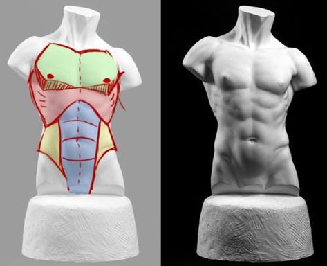 Drawing Male Anatomy, 남성 근육, Male Figure Drawing, Man Anatomy, Anatomy Tutorial, Human Anatomy Drawing, Male Torso, Body Drawing Tutorial, Human Figure Drawing