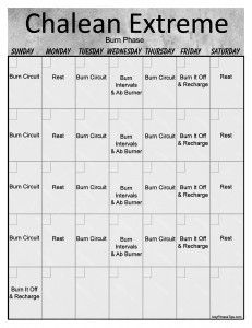 Chalean Extreme Burn Phase Vertical Chalean Extreme Calendar, Monthly Workout Calendar, Chalene Extreme, Workout Calender, Insanity Workout Schedule, Chalean Extreme, Chalene Extreme Schedule, Beachbody Hybrid Calendars, Lean Workout