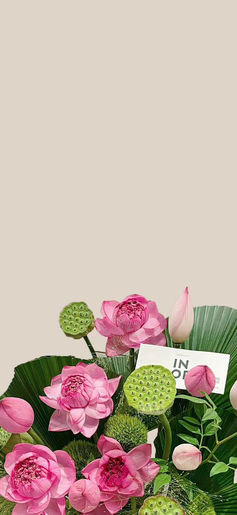 Lotus Wallpaper Aesthetic, Lockscreen Flower, Pink Lotus Wallpaper, Pretty Flowers Photography, Lotus Wallpaper, Lotus Flower Pictures, Lily Wallpaper, Swag Pics, Soft Wallpaper