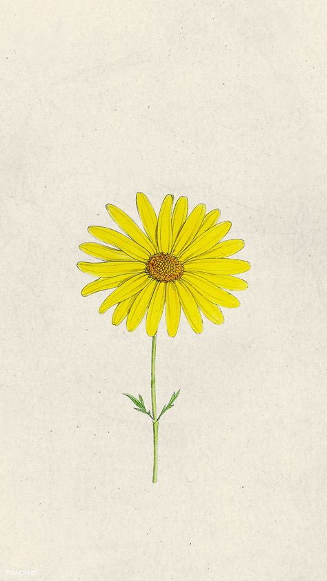 Yellow Daisy Drawing, Yellow Daisy Wallpaper, Yellow Flowers Drawing, Daisy Drawing, Bed Board, Yellow Daisy Flower, Mobile Phone Wallpaper, Sunflower Drawing, Wallpaper Iphone Boho