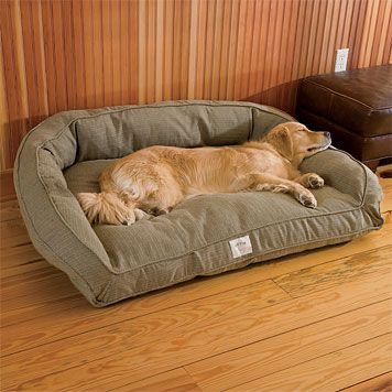 Fancy Dog Beds, Big Dog Beds, Dog Couch Bed, Cute Dog Beds, Diy Dog Crate, Dog Couch, Fancy Dog, Dog Bed Furniture, Dog Rooms