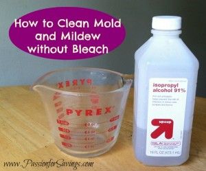 How to Get Rid of Mold and Mildew without Bleach! Dog Remedies, Homemade Cleaning Products, Natural Cleaners, Household Cleaning Tips, Diy Cleaners, Cleaning Recipes, Ice Pack, Random Ideas, Cleaners Homemade