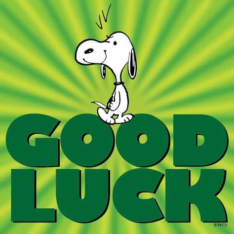 ♥ GoodLuck ♥ Good Luck Today, Saint Patricks Day Art, Smile Wallpaper, Peanuts Comic Strip, Peanuts Cartoon, Snoopy Quotes, Snoopy Pictures, Snoop Dog, Luck Quotes