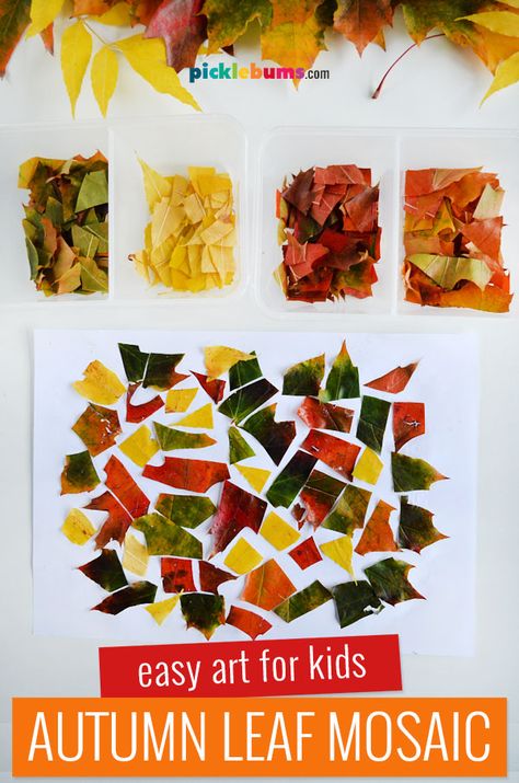 Autumn Leaf Mosaic Collage - Picklebums Mosaic Art For Kids, Leaf Lesson Plans, Fall Leaves Activities, Fall Leaf Art, Leaf Lessons, Leaf Mosaic, Mosaic Collage, Autumn Leaves Craft, Leaf Collage